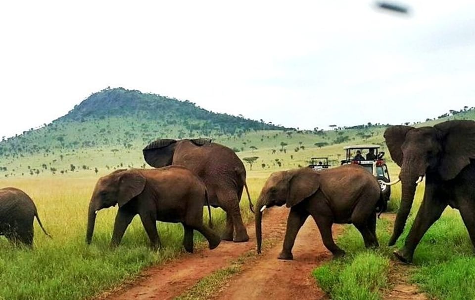 12-Day High-End Jeep Safari in Nairobi and Laikipia County