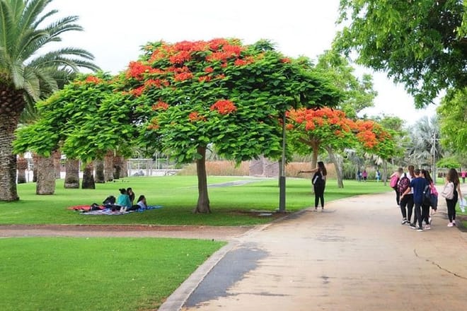 South Park Maspalomas