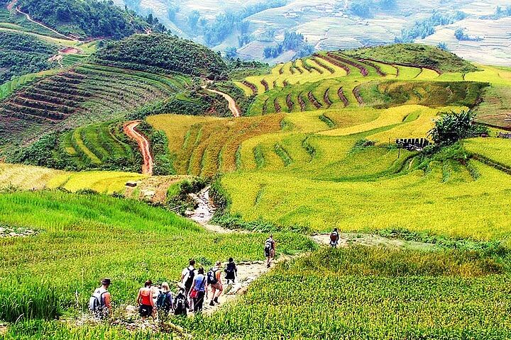 Trekking Adventure in Muong Hoa Valley & Hoang Lien National Park