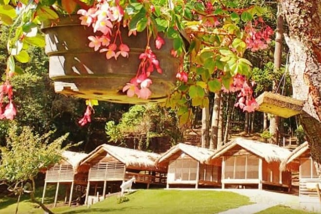 Town Of Campos Do Jordão: The Brazilian Switzerland In A Full Day Private Tour photo 6