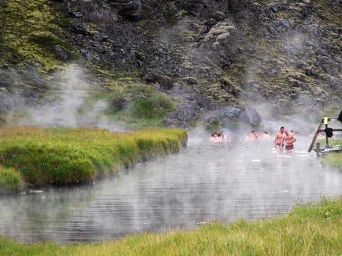 8 Day - Laugavegur trail, Golden Circle, south coast and glacier hike , photo 5