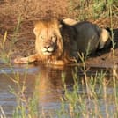 Day tour to Tsavo East National park from Mombasa with pickup 2