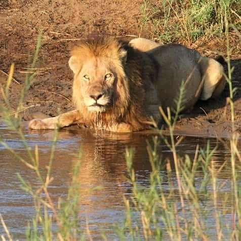Day tour to Tsavo East National park from Mombasa with pickup photo 2