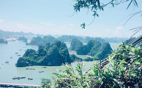 Cultural and Scenic Tour of Hạ Long Bay from Ha Long Port