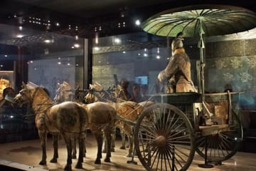 Xi'an Half-Day Tour of the Terracotta Warriors Museum