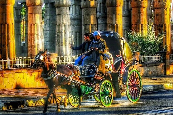 City Tour By Horse Carriage One Hour in Luxor - Luxor