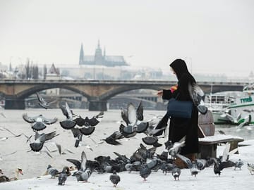Professional Photoshoot at Charles Bridge in Prague