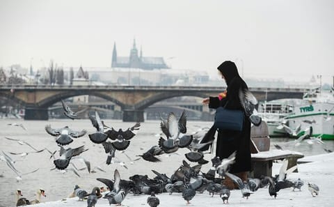 Professional Photoshoot at Charles Bridge in Prague