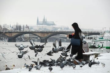 Professional Photoshoot at Charles Bridge in Prague