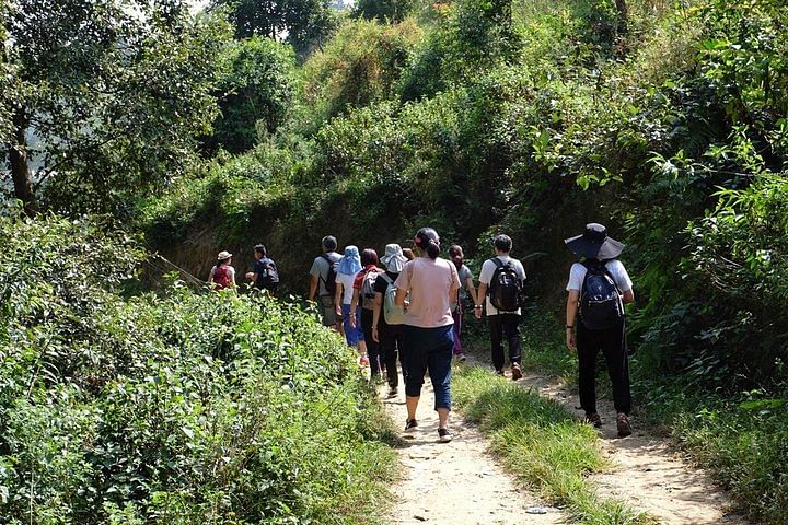 Changu Nagarkot Hiking Adventure: Culture & Sunrise Views from Kathmandu