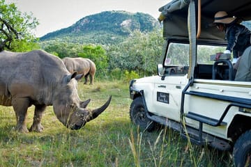 2 Days Safari to Ol Pejeta Conservancy