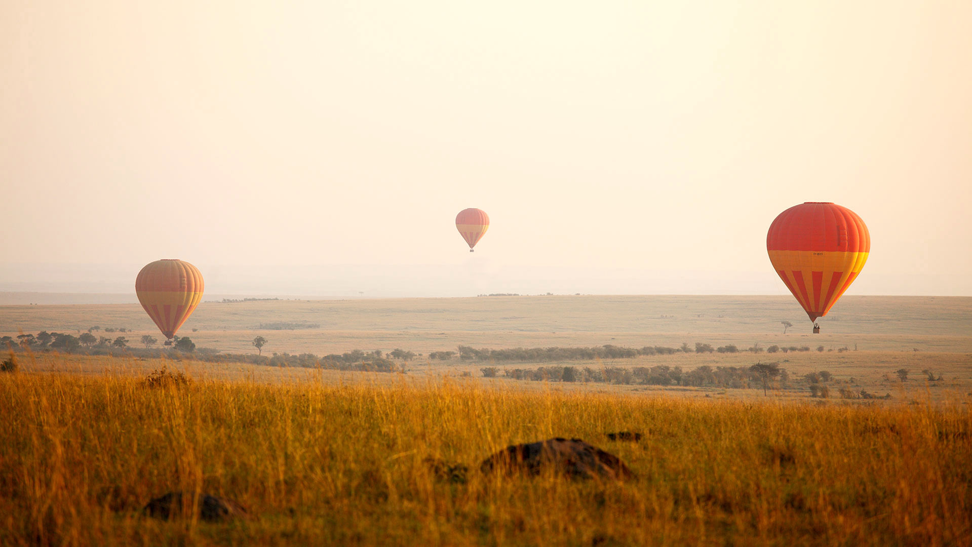 5 Days Nairobi & Maasai Mara Fly In Safari
