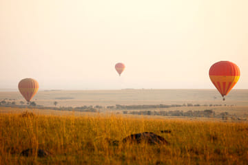 5-Day Wildlife Safari in Nairobi and Maasai Mara, Kenya