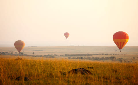 5-Day Wildlife Safari in Nairobi and Maasai Mara, Kenya