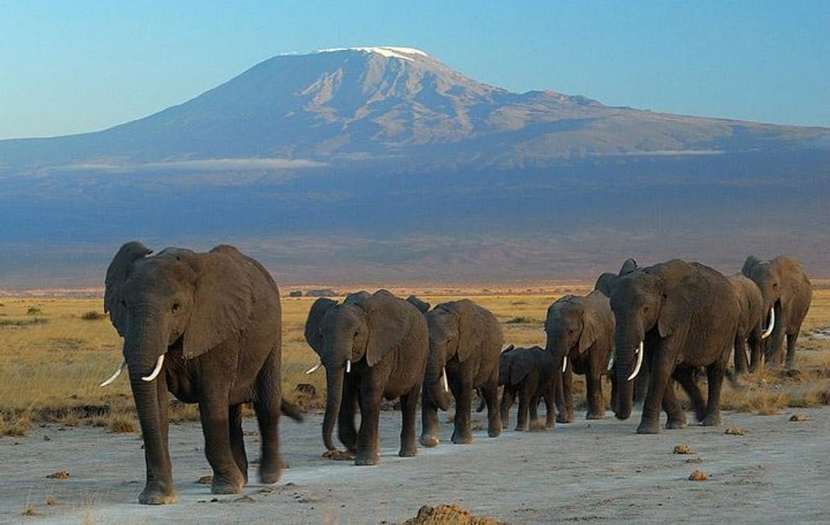 4 – DAYS AMBOSELI NATIONAL PARK SAFARI