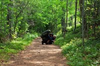 Berry Picking in a National Park 10