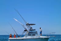 Private Cabo Full-Day Sportfishing: Hunt for Marlin, Tuna, Dorado 10