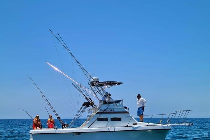 Private Cabo Full-Day Sportfishing: Hunt for Marlin, Tuna, Dorado 10