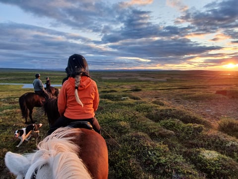 Horseback riding - private tour