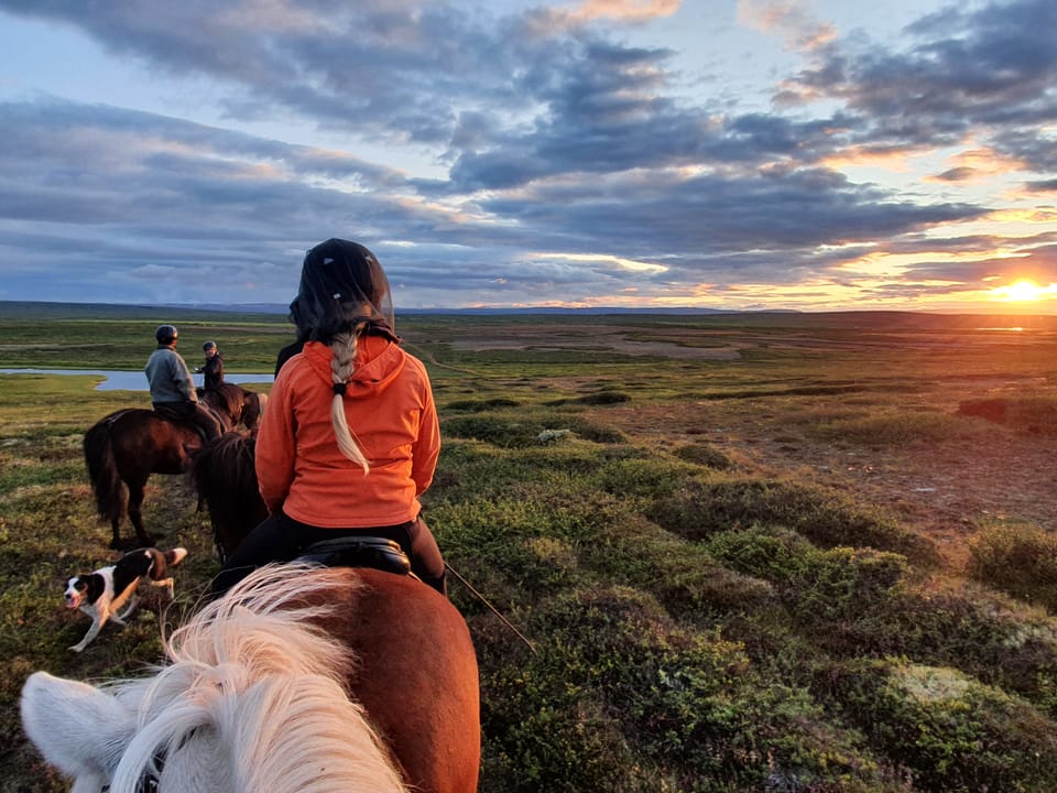 Horseback riding - private tour — Safarihestar slf
