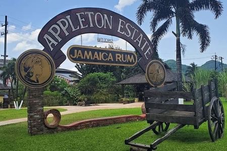 Ys Falls and Appleton Estate Factory Tour with private transportation