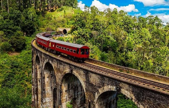 Enchanting Guided Day Tour In Ella