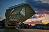THE MUSEUM AND THE CRUISE