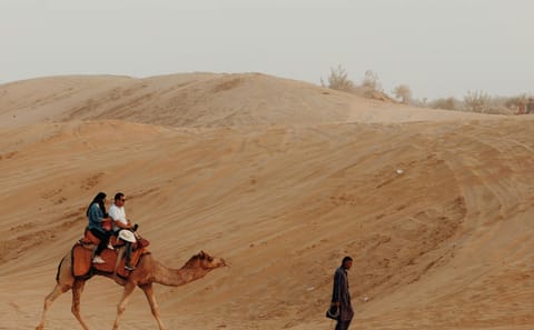 4-Day Jodhpur Jaisalmer Desert Experience Tour