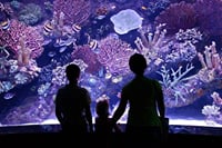 Kemer Private Antalya Aquarium Tour | All Inclusive 4