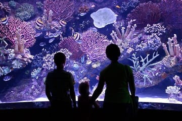 Antalya Aquarium and Fun Park Half-Day Tour with Pickup