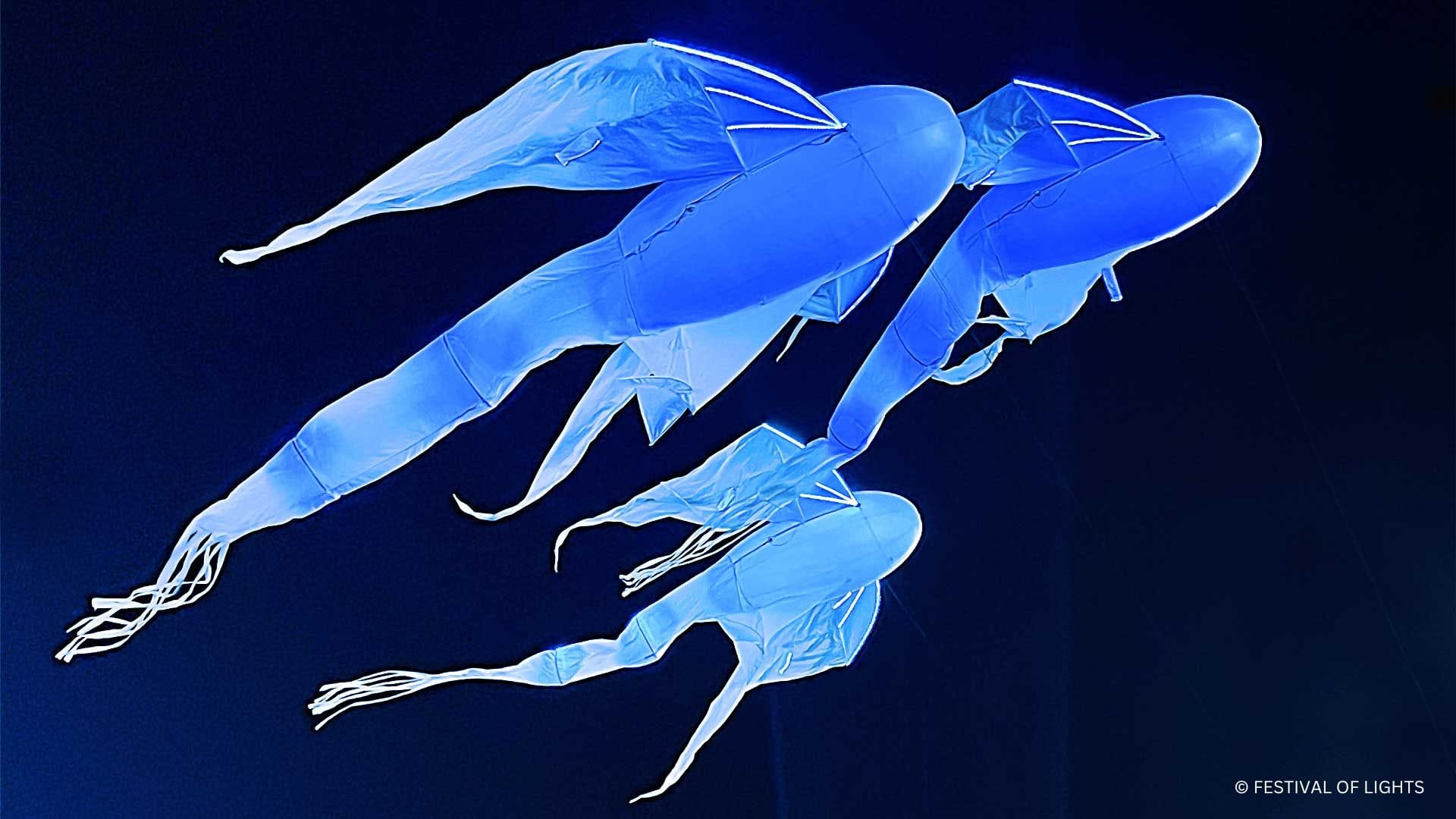 Berlin Festival of Lights Tour