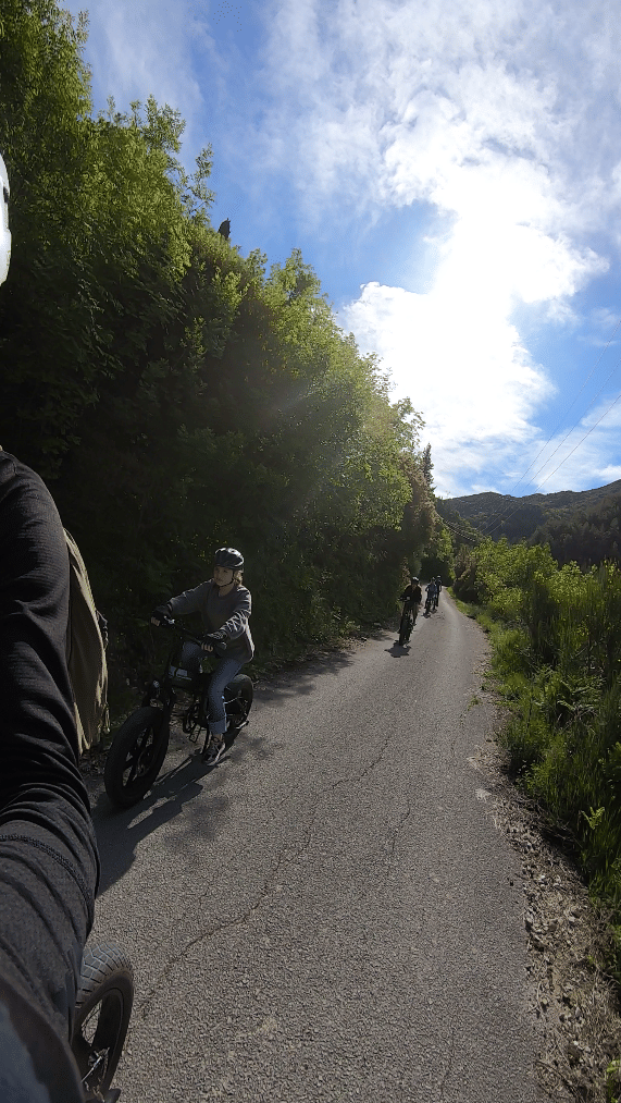 E-bike Guided Tour Lefkada - Be Part of A Team that Vaues Safety on the Roads
