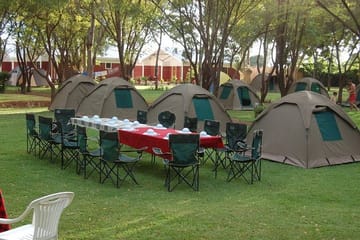 6-Day Camping Safari and Wildlife Tour in Tanzania from Arusha