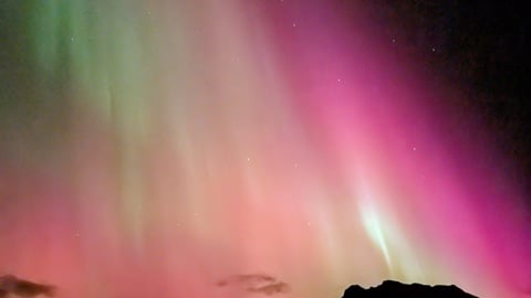 Reykjadalur hot river: hike, horse or night walk