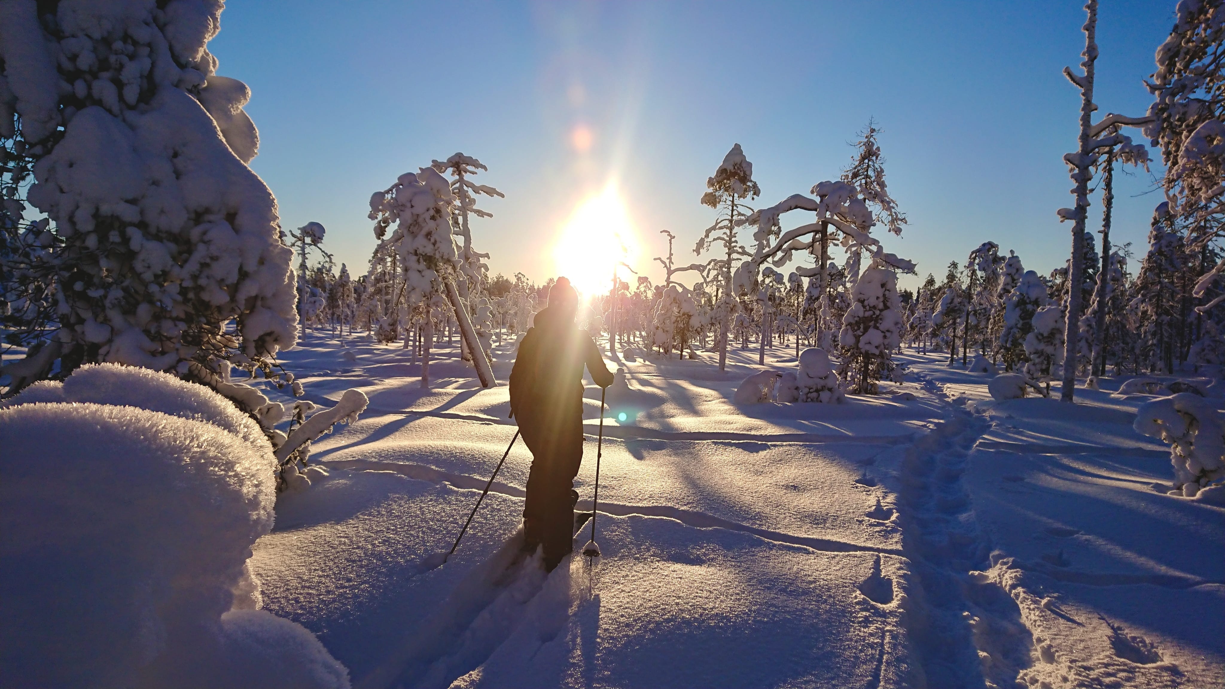Lapland night snowshoe — Snowshoeing through snowy forest on a dark winter night.