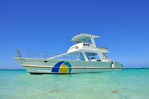 Private Boat Snorkeling and Swim with Shark and Stingray