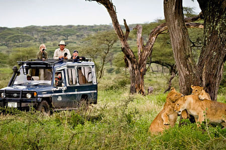 10 Days 9 Nights Tanzania Honeymoon Experiences Safari