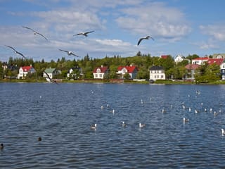 Reykjavik City Sightseeing, photo 6