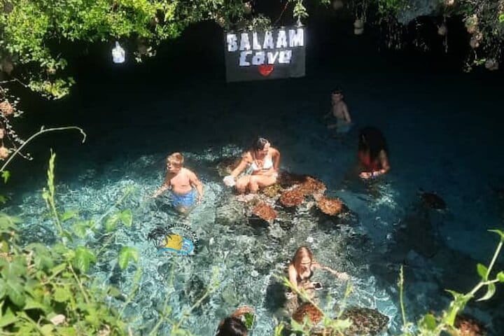 Zanzibar Swim, Snorkel & Feed Turtles at Baraka Aquarium