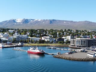 Akureyri Classic Whale Watching, photo 26
