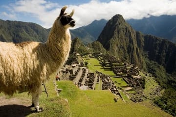 Machu Picchu Day Trip with Train Ride from Poroy