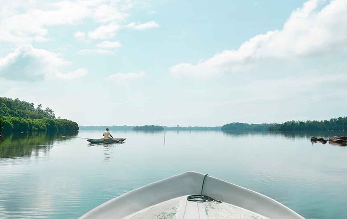 Muthurajawela Bird Watching Day Tour from Colombo or Negombo