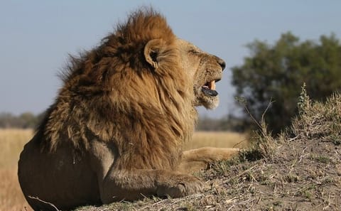 8-Day Adventure Tour of Victoria Falls, Chobe, and Okavango Delta