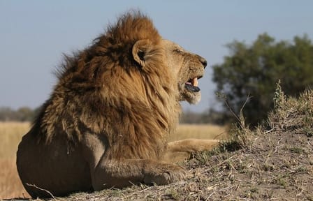 8-Day Adventure Tour of Victoria Falls, Chobe, and Okavango Delta