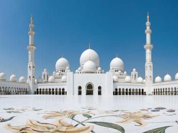 Guided Day Tour from Dubai to Abu Dhabi with SeaWorld Visit