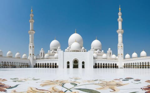 Guided Day Tour from Dubai to Abu Dhabi with SeaWorld Visit