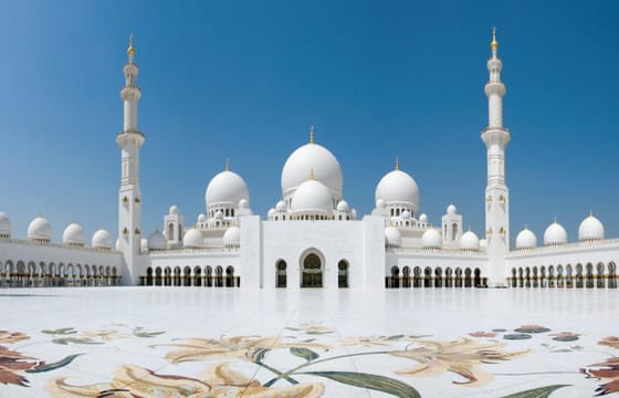 Guided Day Tour from Dubai to Abu Dhabi with SeaWorld Visit