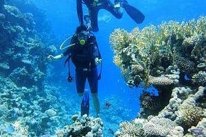 Ras Mohamed and White Island Snorkeling Trip and One Stop Diving-Sharm El Shiekh