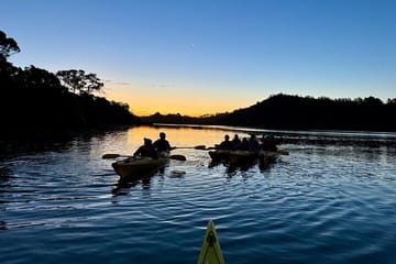 Auckland Bioluminescence Kayak Tour – Waiake Beach