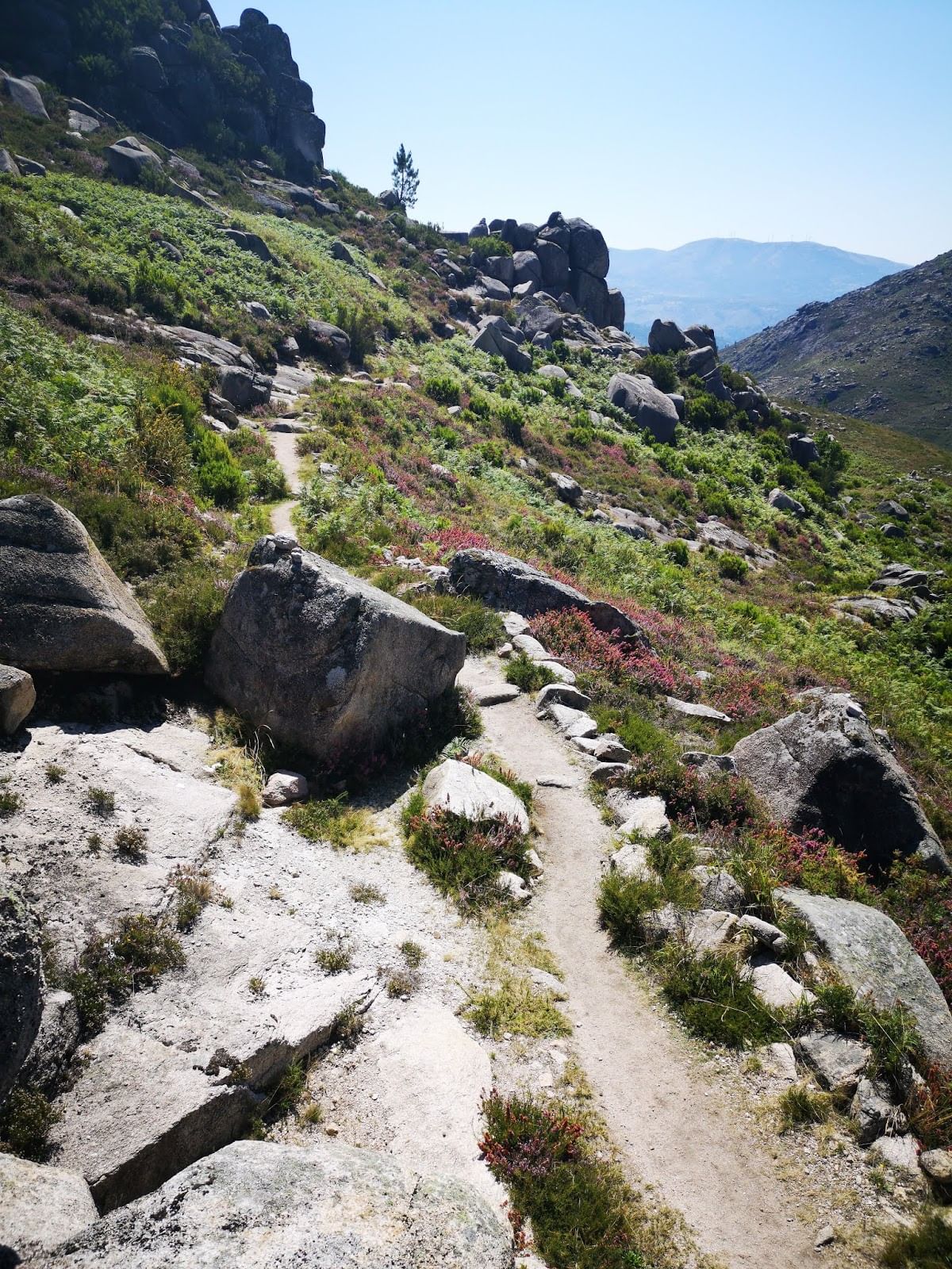Gerês 7 Lagoons Tour Walk, Picnic & Memorable Moments